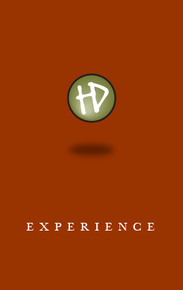 experience